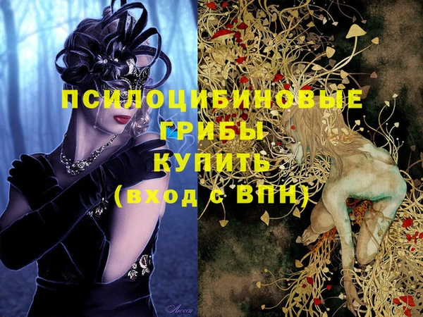 альфа пвп Заволжск