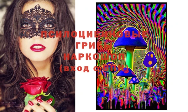экстази Заводоуковск
