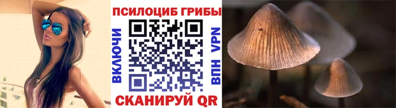 Купить где  Егорьевск  Псилоцибиновые грибы Cubensis 
